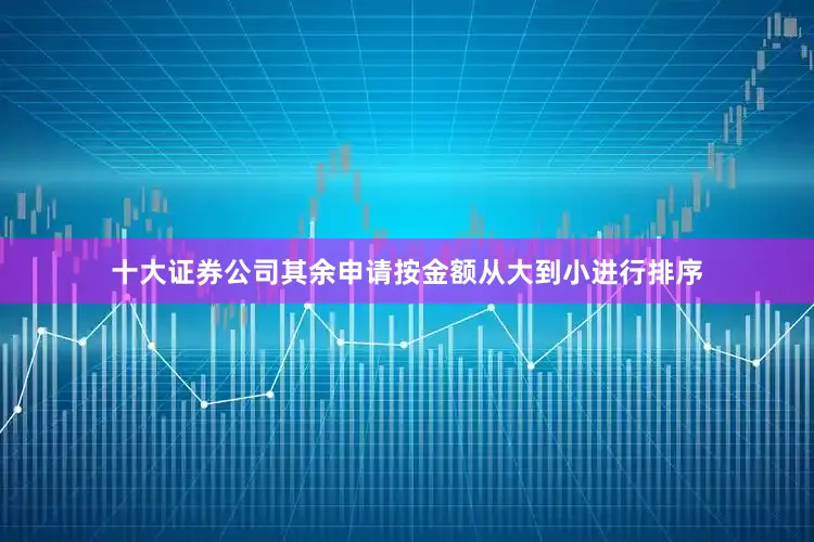 十大证券公司其余申请按金额从大到小进行排序