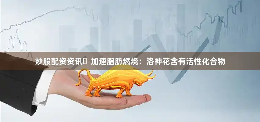 炒股配资资讯✅加速脂肪燃烧：洛神花含有活性化合物