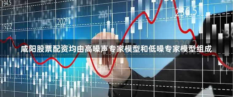 咸阳股票配资均由高噪声专家模型和低噪专家模型组成