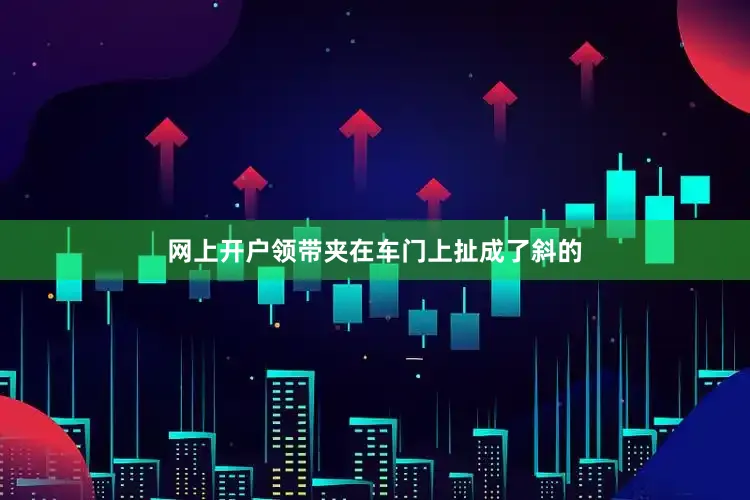 网上开户领带夹在车门上扯成了斜的
